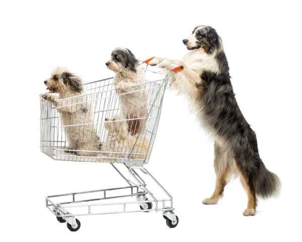Fresh pet food ingredients
